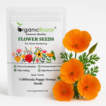 California Poppy Orange Seeds - 200 Seeds (Khus Khus/Posta/पोस्ता के फूल)