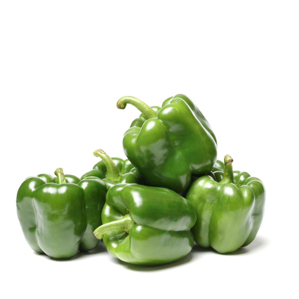 Capsicum (Shimla Mirch) Imported Seeds - (20 Seeds) High Yield | High Germination | Best for Home Gardens (शिमला मिर्च के बीज)