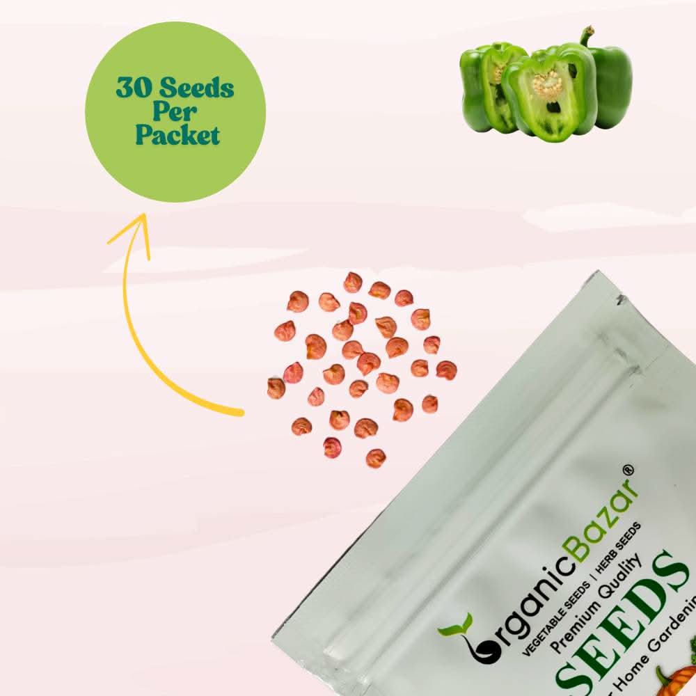 Capsicum (Hari Shimla Mirch) Seeds F1 Hybrid - (30 Seeds) High Yield | High Germination | Best for Home Gardens (हरी शिमला मिर्च के बीज)