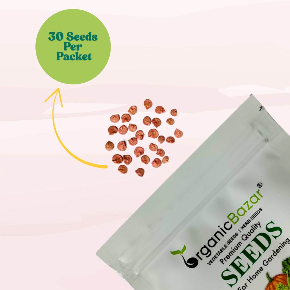 Capsicum Yellow (Pili Shimla Mirch) Seeds - (30 Seeds) High Yield | High Germination | Best for Home Gardens (पीली शिमला मिर्च के बीज)