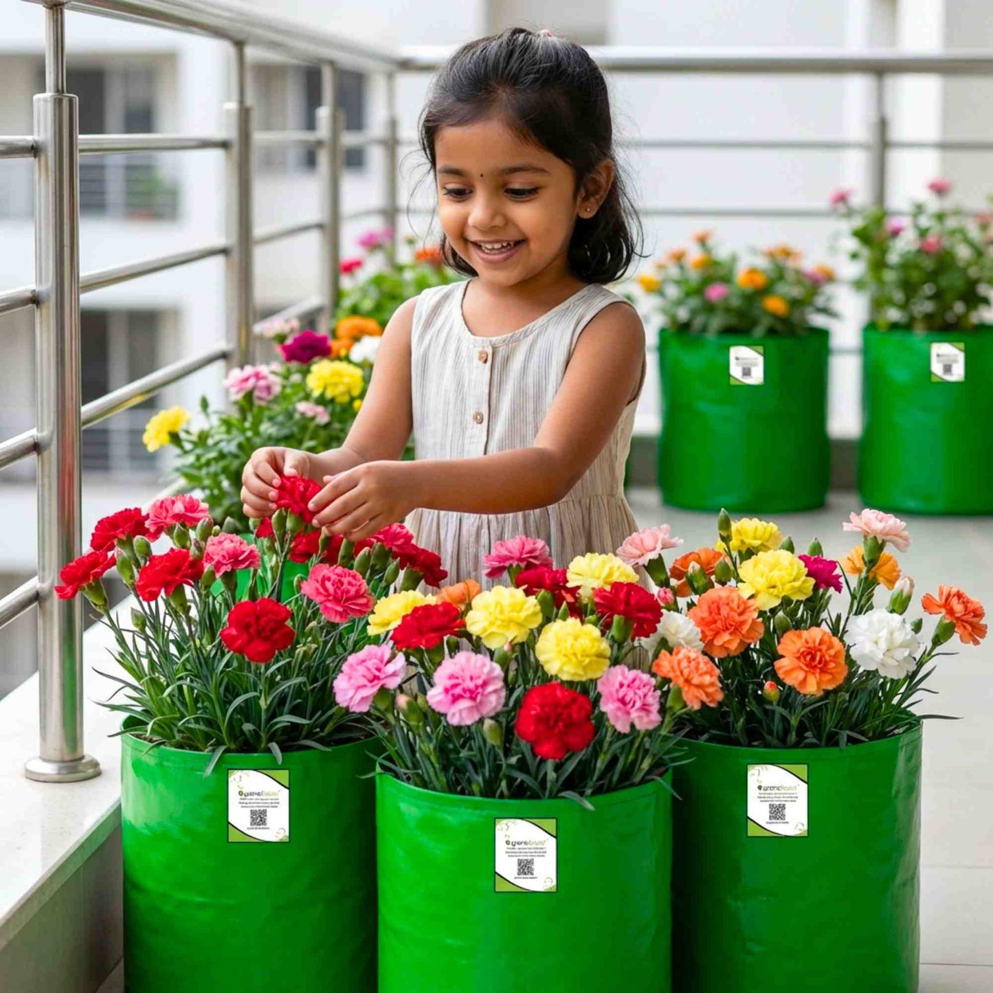 Carnation Mix Seeds (100 Seeds) High Germination/ Easy To grow/ Perfect for pots, balconies, or Terrace gardens