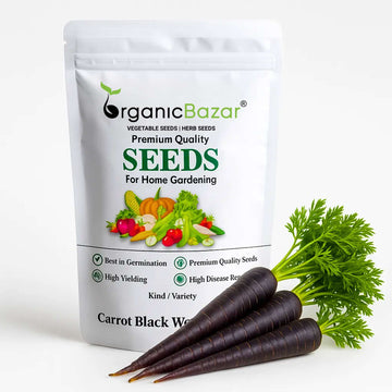 Carrot Black Wonder Seeds - 1000 Seeds (Black Gajar/ब्लैक गाजर के बीज)