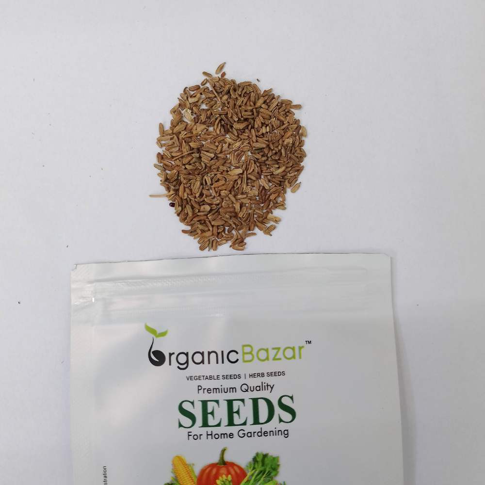 Carrot Black Wonder Seeds - 1000 Seeds (Black Gajar/ब्लैक गाजर के बीज)