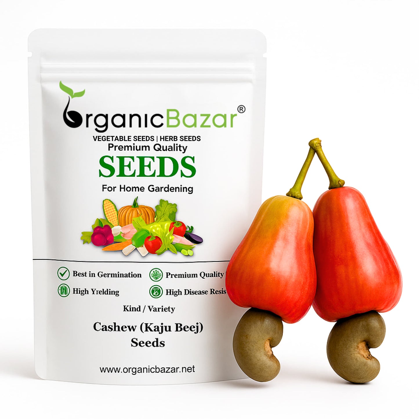 Cashew (Kaju Beej) Seeds - (10 Seeds) High Germination Rate/ Best for Home Gardens (Kaju Tree Ke Beej/काजू के बीज)