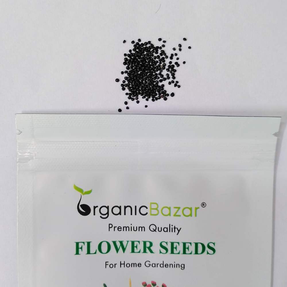 Celosia Cockscomb Dwarf Mix Seeds (200 Seeds)