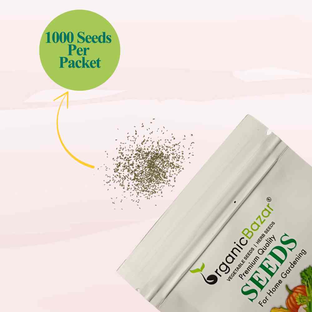 Chamomile German Seeds - 1000 Seeds (कैमोमाइल के बीज)