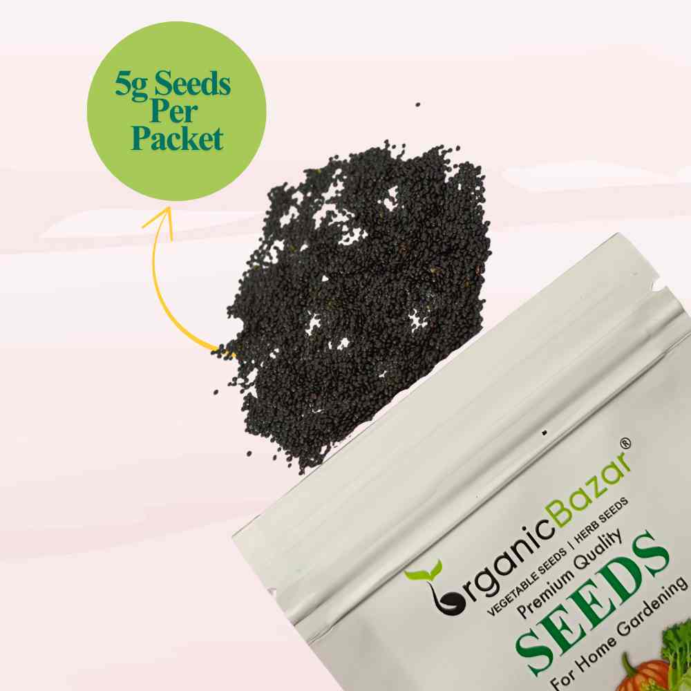 Chaulai Green Amaranth (Hari bhaji) Seeds - 5g (चौलाई भाजी के बीज)