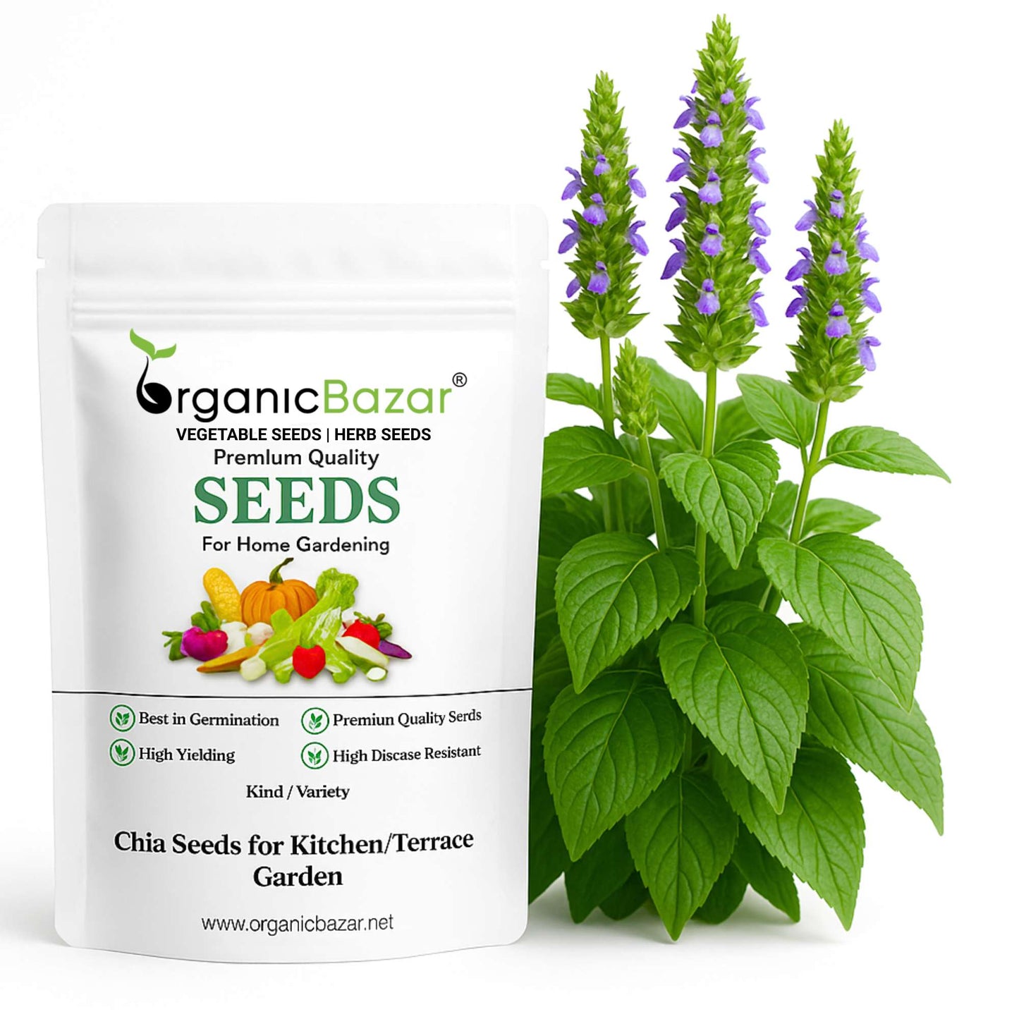 Chia Seeds for Kitchen/Terrace Garden (चिया के बीज) - 2500 Seeds