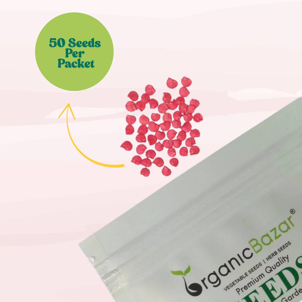 Chilli-Pepper Surya Pariksha-Upright Type Seeds - 50 Seeds (Mirch/ मिर्च के बीज)