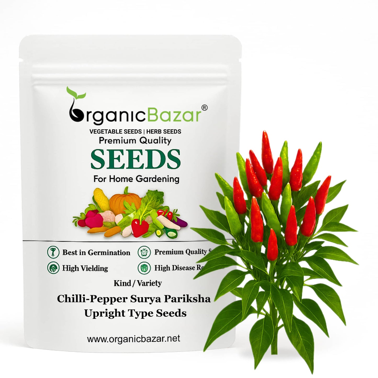 Chilli-Pepper Surya Pariksha-Upright Type Seeds - 50 Seeds (Mirch/ मिर्च के बीज)