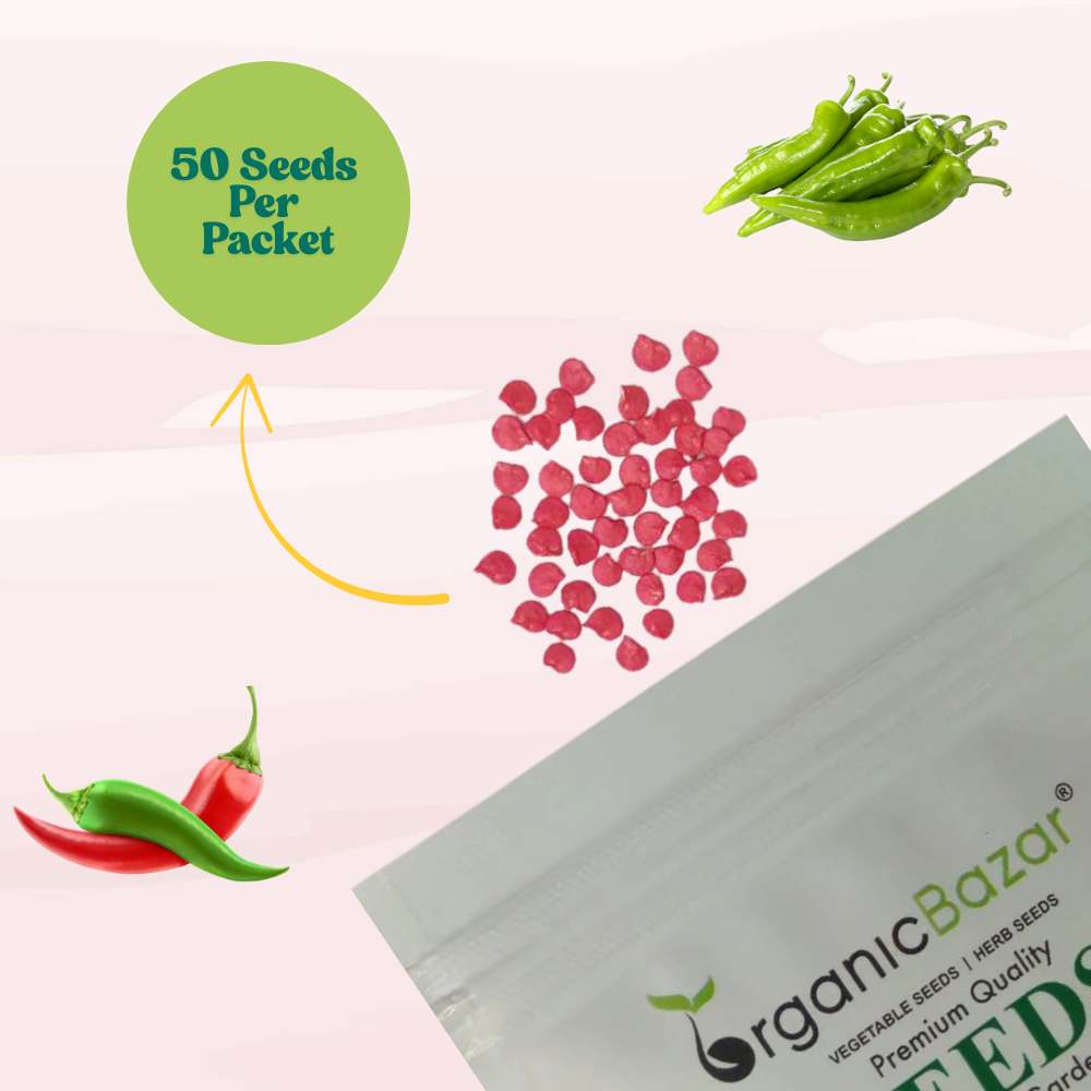 Chilli Achari Seeds - (50 Seeds) High Yield/ High Germination (Achari Mirch/ अचारी मिर्च के बीज)