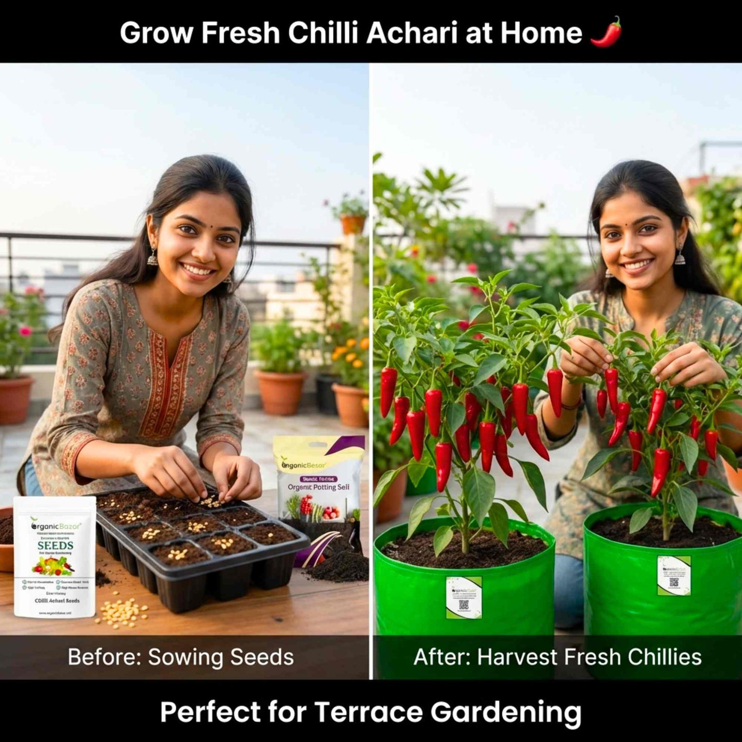 Chilli Achari Seeds - (50 Seeds) High Yield/ High Germination (Achari Mirch/ अचारी मिर्च के बीज)