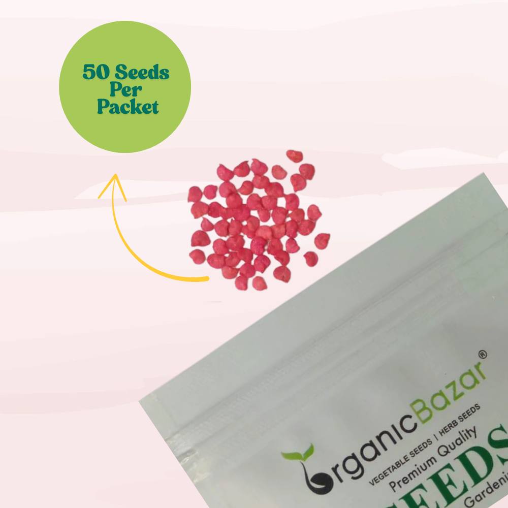 Chilli Hot Pepper Skyward Seeds - (50 Seeds) High Yield | High Germination | Best for Home Gardens (मिर्च के बीज)