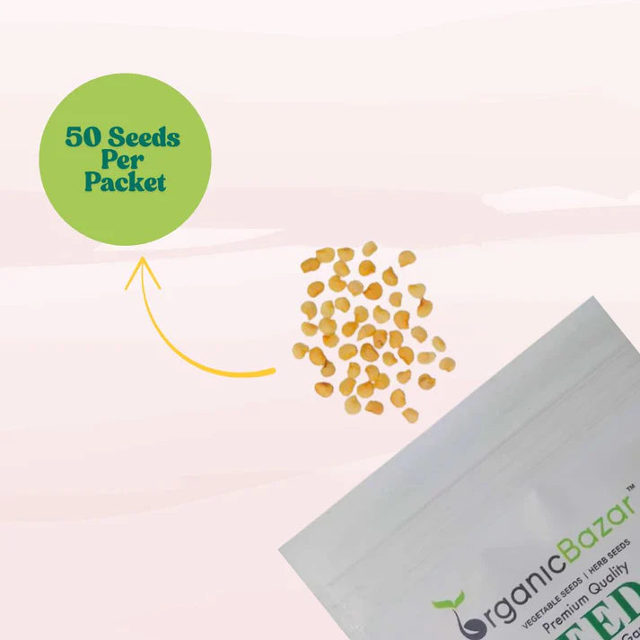 Chilli Jwala (Hari Mirch) Seeds - (50 Seeds) High Yield | High Germination | Best for Home Gardens (मिर्च के बीज) (हरी मिर्च के बीज)