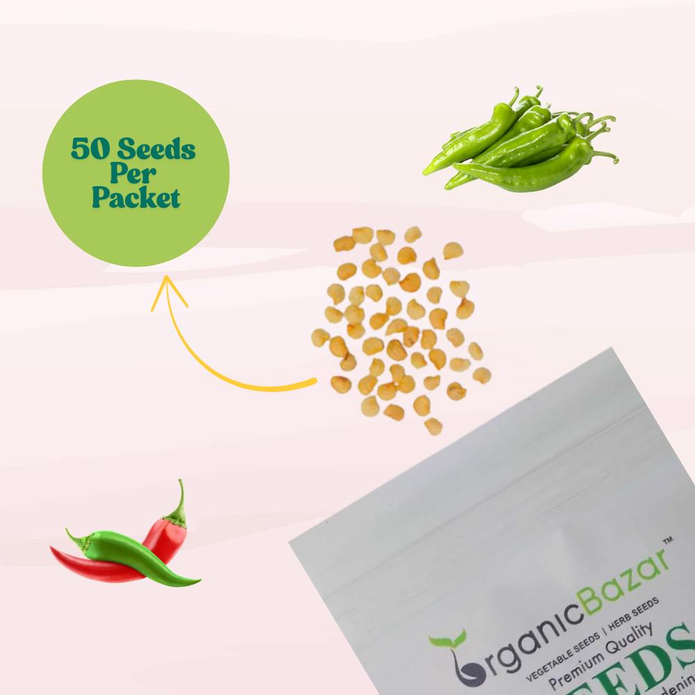 Chilli F-1 Hybrid Seeds (Mirch) Seeds - (50 Seeds) High Yield | High Germination | Best for Home Gardens (मिर्च के बीज)