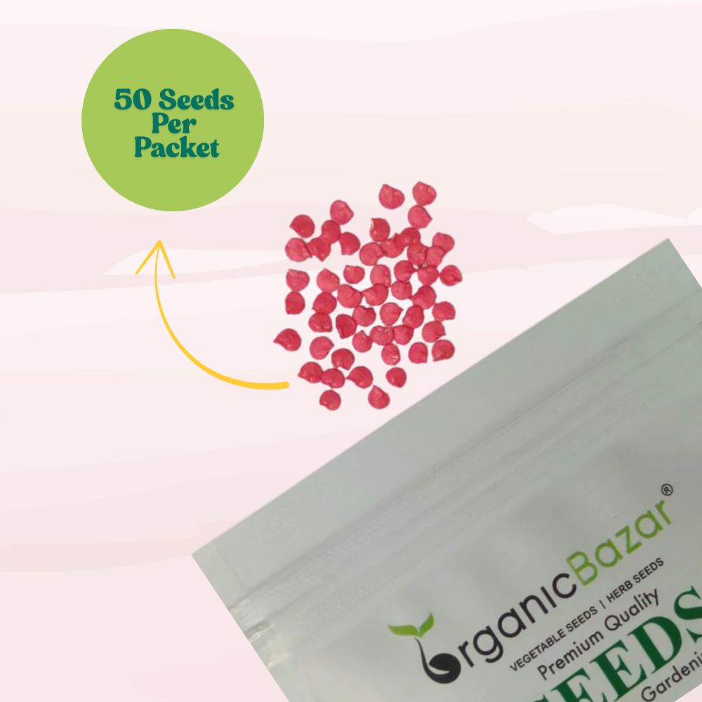 Chilli Surajmukhi Seeds - (50 Seeds) High Yield | High Germination | Best for Home Gardens (मिर्च के बीज)