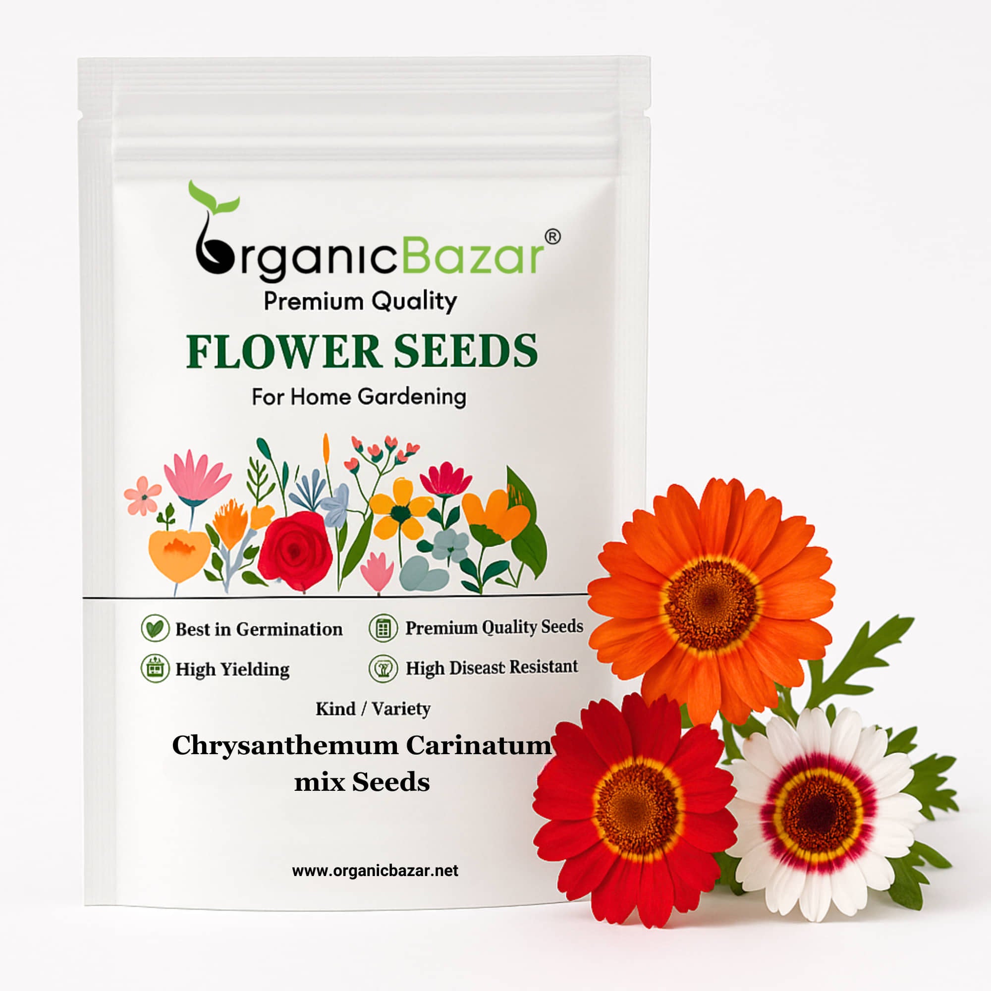 guldaudi flower seeds Buy Best Quality Chrysanthemum Carinatum Mix Seeds Online