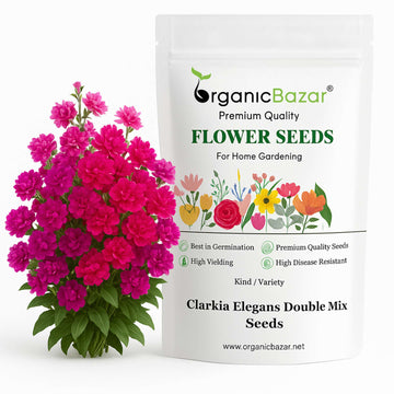 Clarkia Elegans Double Mix Seeds - 200 Seeds