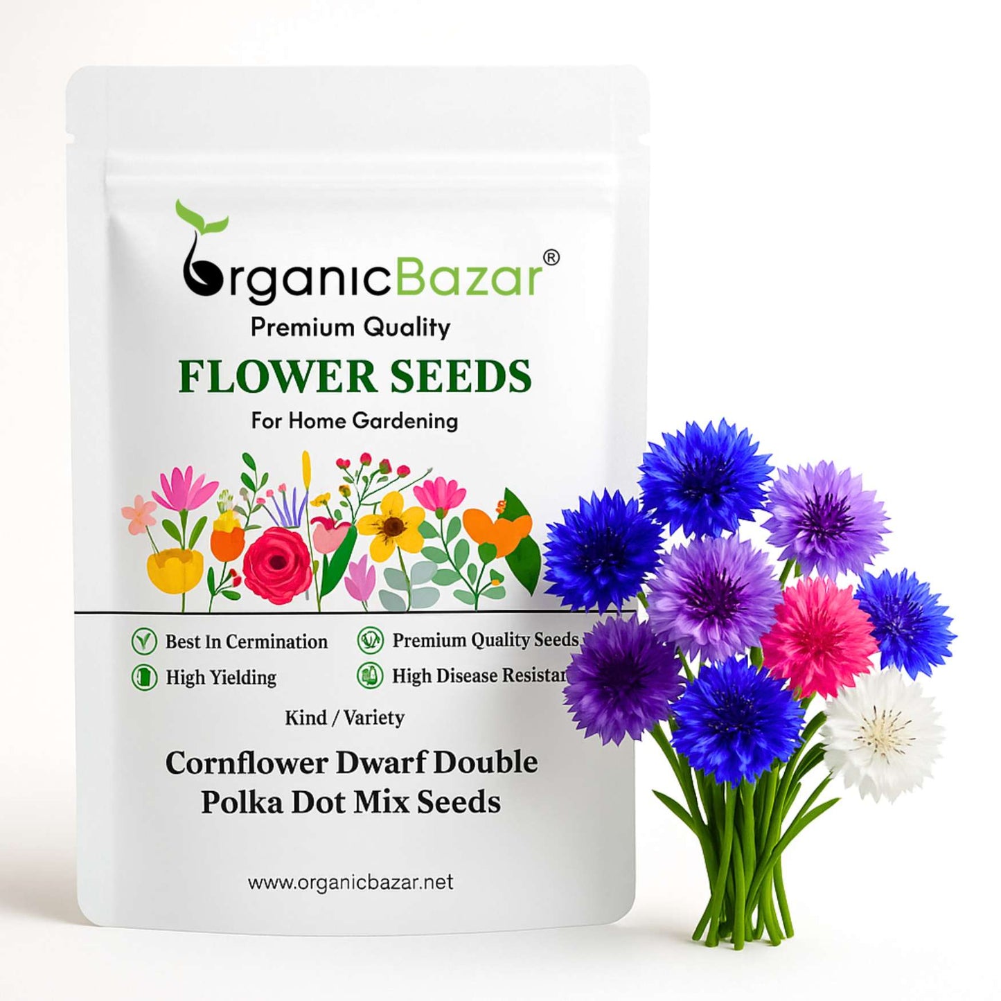 Cornflower Dwarf Double Polka Dot Mix Seeds (100 Seeds)