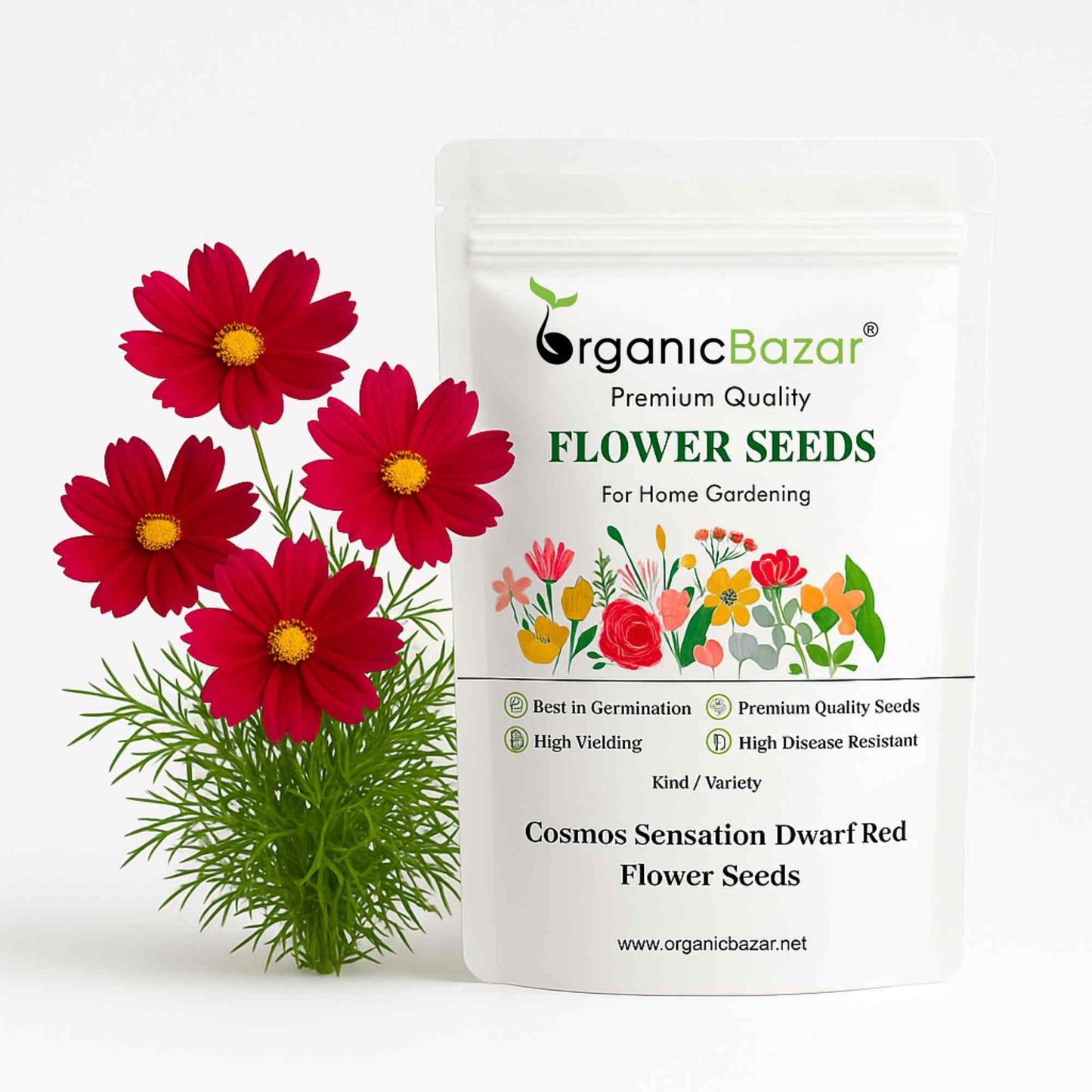 Cosmos Sensation Dwarf Red Flower Seeds (100 Seeds)