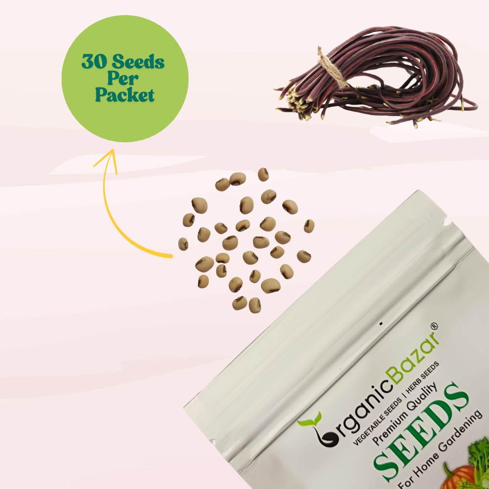 Cowpea (Lobia) Scarlet Long-Red Seeds - 30 Seeds (Red Barbati Lobia Beans/ लाल लोबिया/बरबटी के बीज) High Germination, Easy to Grow, High Yield Seeds For Terrace Gardening