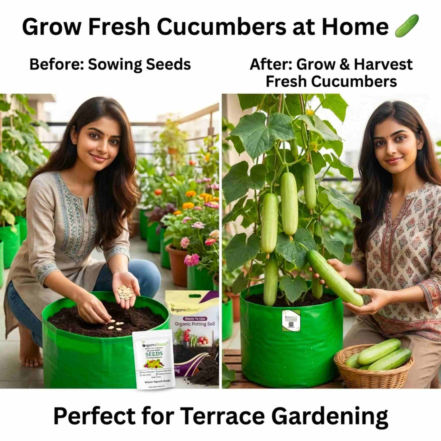 Cucumber Light Green Seeds - 20 Seeds (Kakdi/ककड़ी/खीरा के बीज) High Germination, Easy to Grow, High Yield Seeds For Terrace Gardening