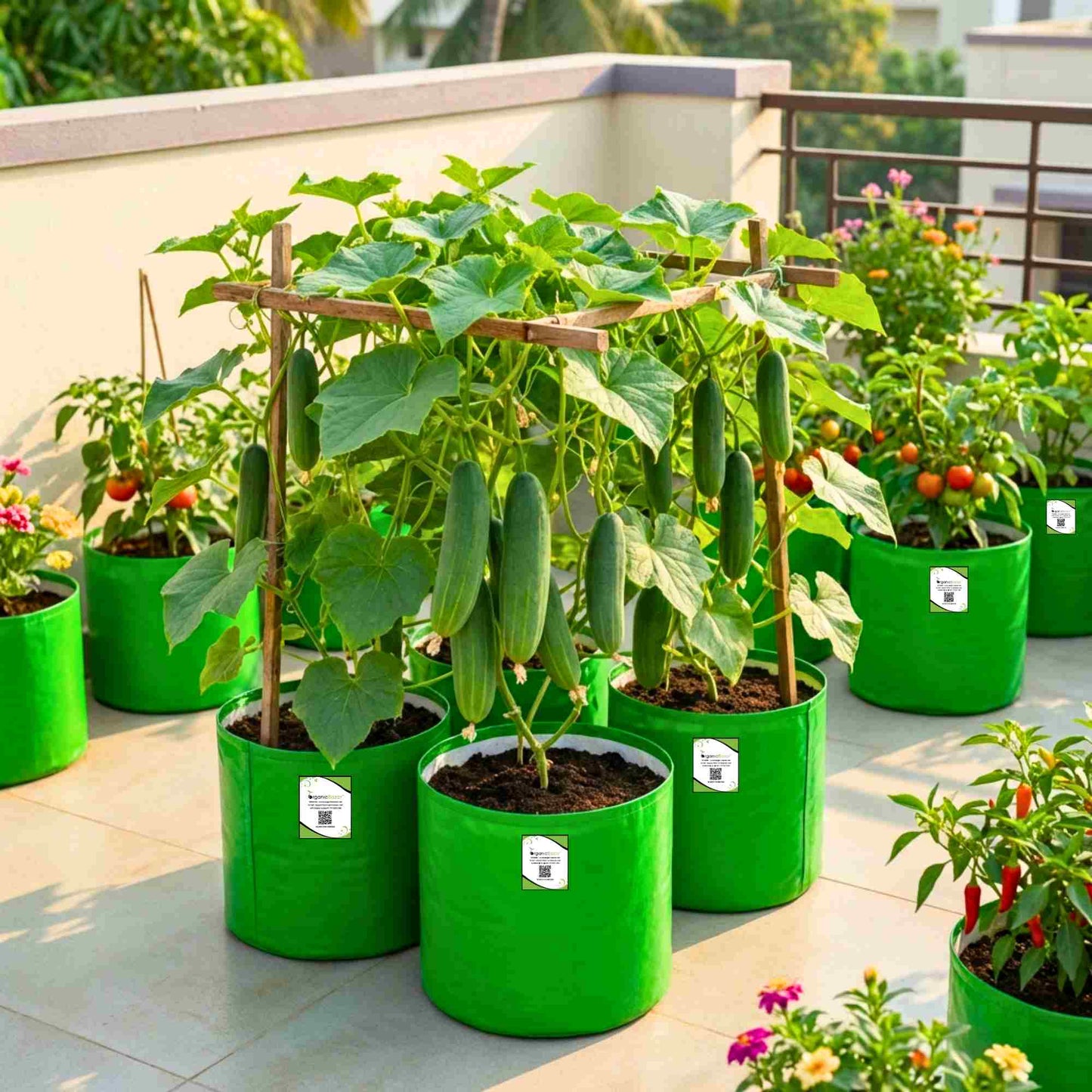 Cucumber (Kheera) Hybrid Seeds - 20 Seeds (Kakdi/ककड़ी/खीरा के बीज) - High Germination, Easy to Grow, High Yield Seeds For Terrace Gardening