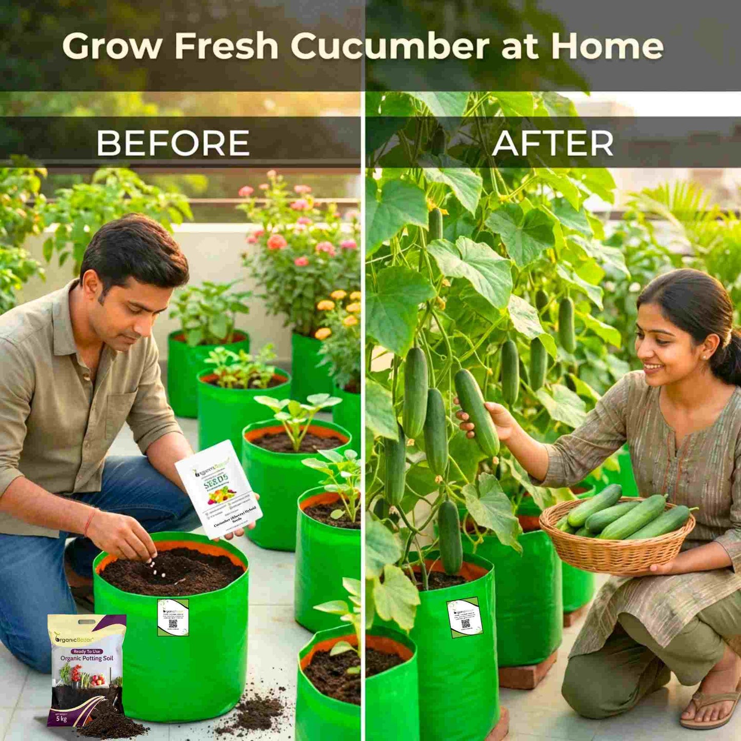 Cucumber (Kheera) Hybrid Seeds - 20 Seeds (Kakdi/ककड़ी/खीरा के बीज) - High Germination, Easy to Grow, High Yield Seeds For Terrace Gardening