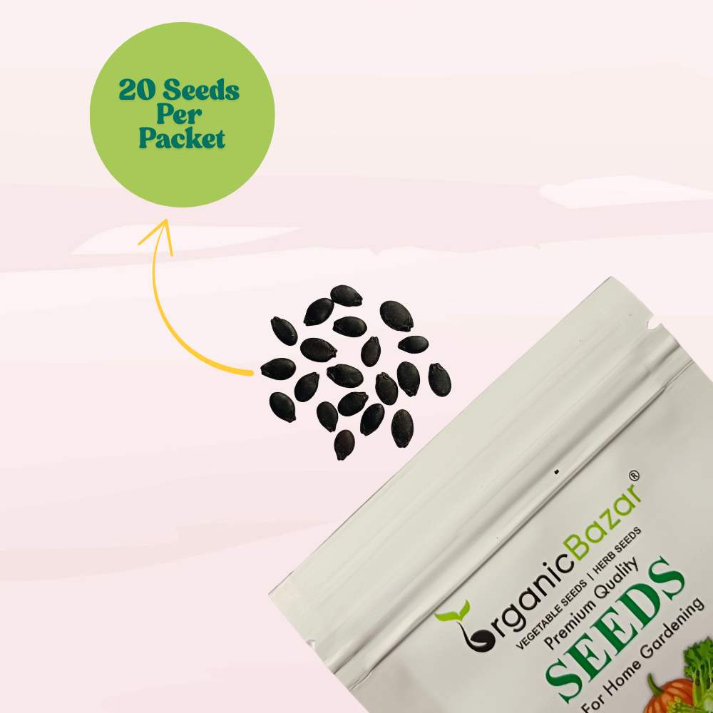 Desi Turai/Ridge Gourd Seeds – Gucche Wali Torai - (20 Seeds (Easy To grow, High Germination Desi Variety Seeds For Terrace Gradening)