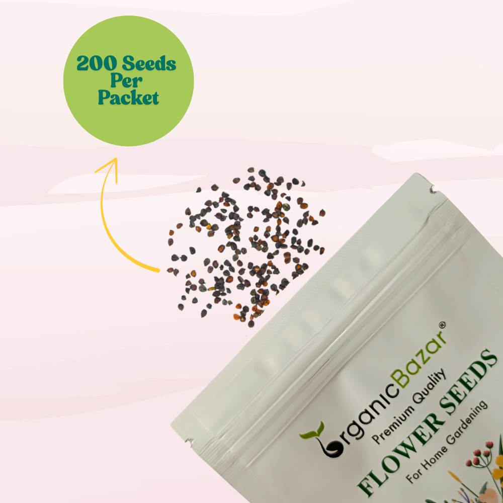 Dianthus Baby Doll Mix Seeds (200 Seeds) Easy To Grow, High Germination, Perfect for pots, balconies, or Terrace gardens