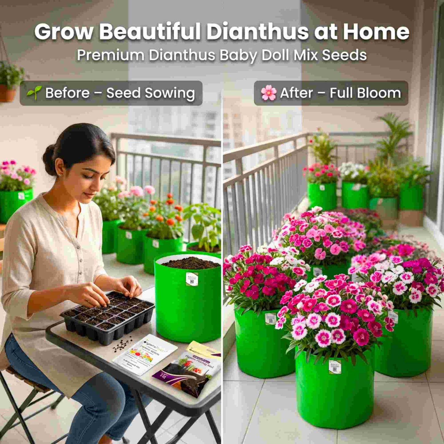 Dianthus Baby Doll Mix Seeds (200 Seeds) Easy To Grow, High Germination, Perfect for pots, balconies, or Terrace gardens