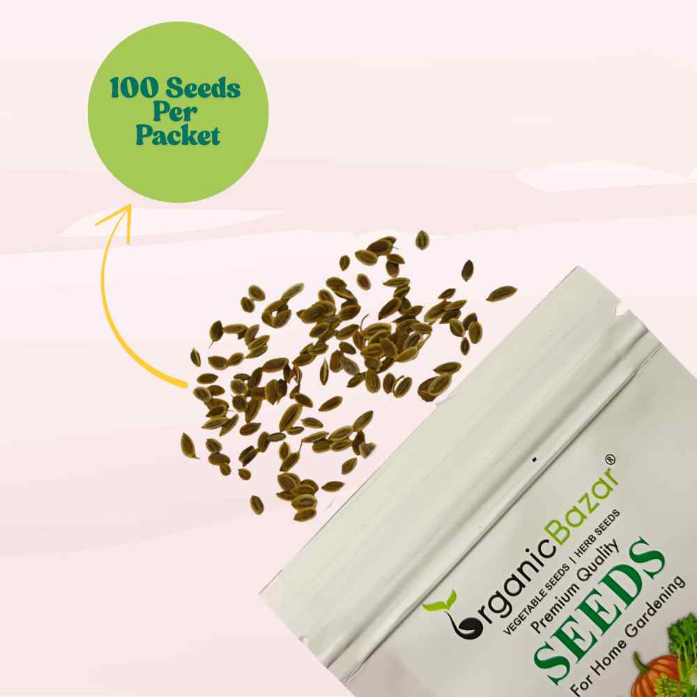 Dill Seeds - 100 Seeds (डिल के बीज)