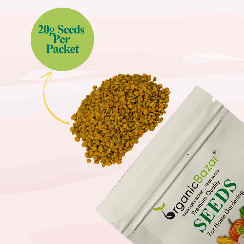 Fenugreek Seeds (Methi) मेथी के बीज - (20g) High Germination, Easy to Grow Leafy vegetable Seeds
