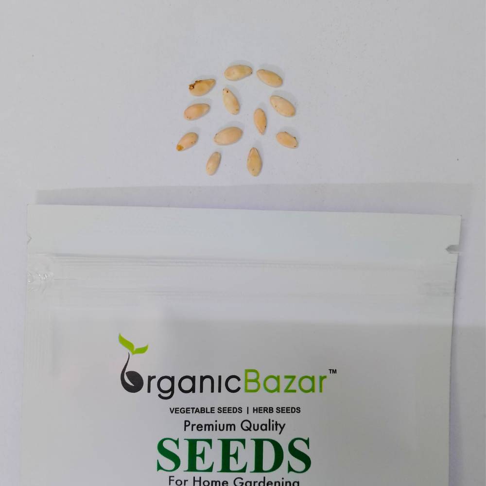 Foot kachri Seeds (कचरी के बीज) - 12 Seeds