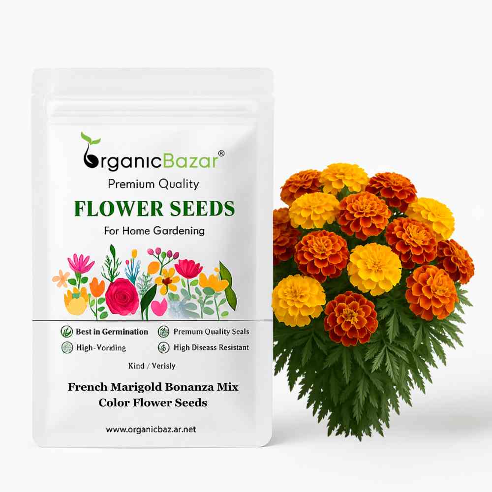 French Marigold Bonanza Mix Color Flower Seeds - 30 Seeds (Genda/गेंदा के फूल के बीज) High Germination/ Easy To grow/ Perfect for pots, balconies, or Terrace gardens