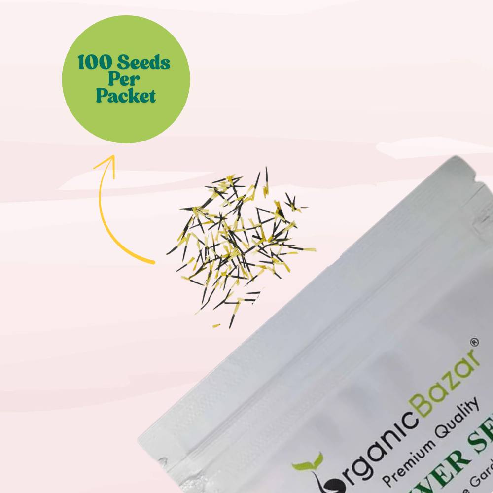 French Marigold Seeds - 100 Seeds (Genda/गेंदा के फूल के बीज) High Germination/ Easy To grow/ Perfect for pots, balconies, or Terrace gardens