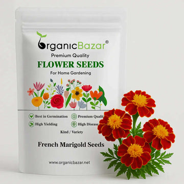 French Marigold Seeds - 100 Seeds (Genda/गेंदा के फूल के बीज) High Germination/ Easy To grow/ Perfect for pots, balconies, or Terrace gardens
