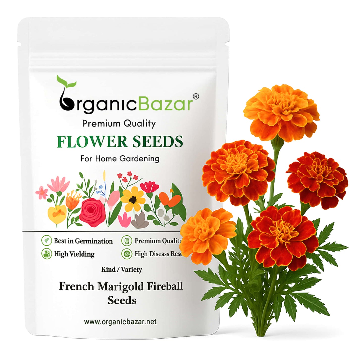 French Marigold Fireball Seeds - 50 Seeds (Genda/गेंदा के फूल के बीज) High Germination/ Easy To grow/ Perfect for pots, balconies, or Terrace gardens