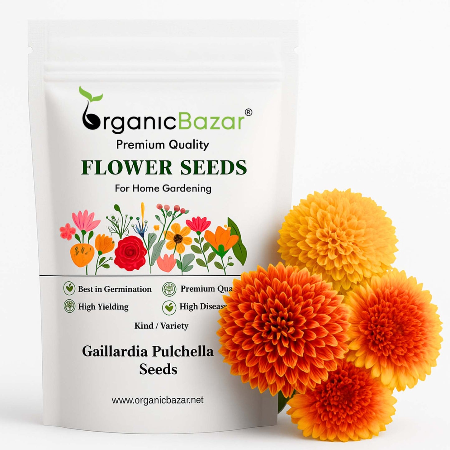 Gaillardia Pulchella Mix Seeds (200 Seeds) Easy To Grow, High Germination, Perfect for pots, balconies, or Terrace gardens