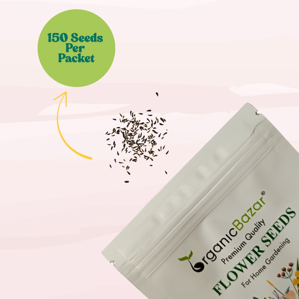 Gazania Sunshine Mix Seeds (150 Seeds) Easy To Grow, High Germination, Perfect for pots, balconies, or Terrace gardens