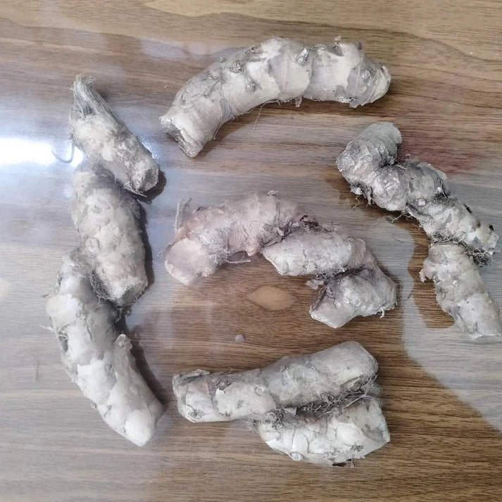 Ginger Lily Pink Flower Bulbs (05N)