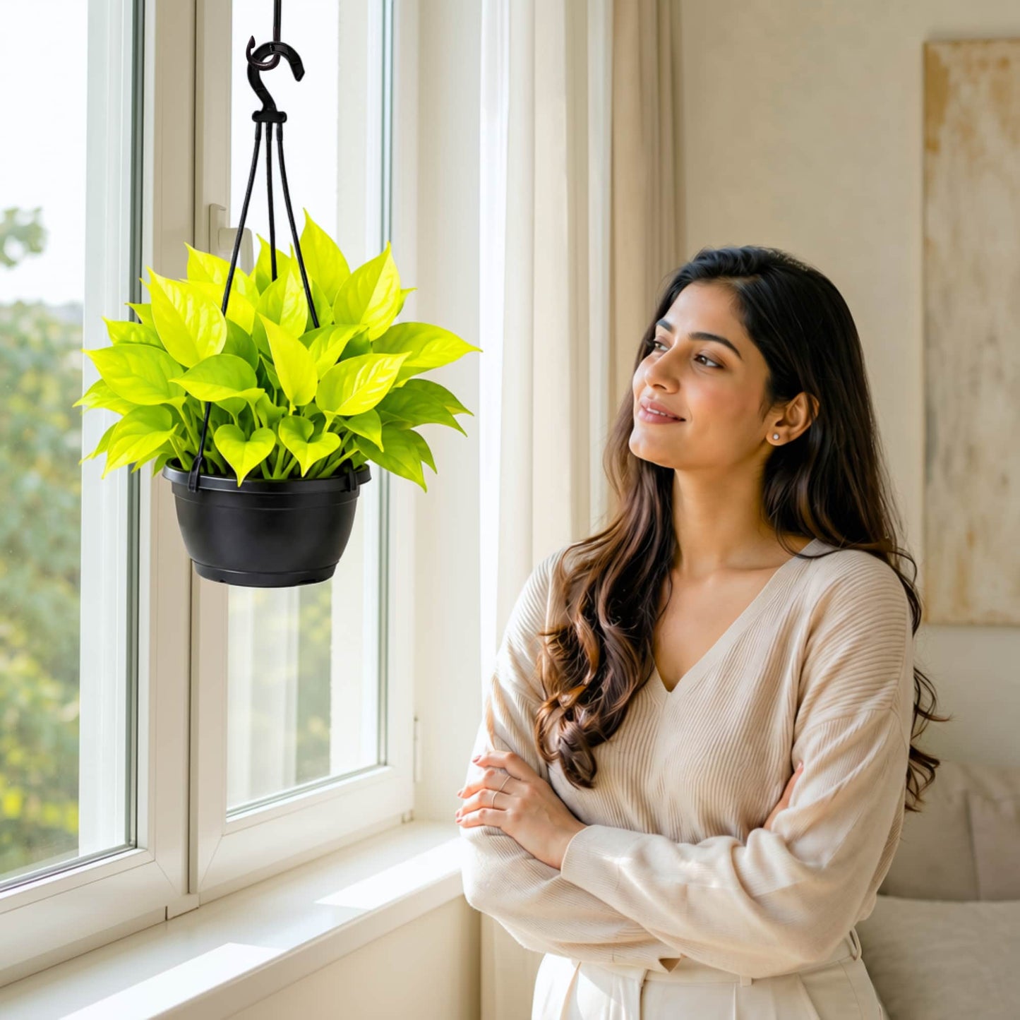 Golden Money Plant Live Plant with Hanging Pot
