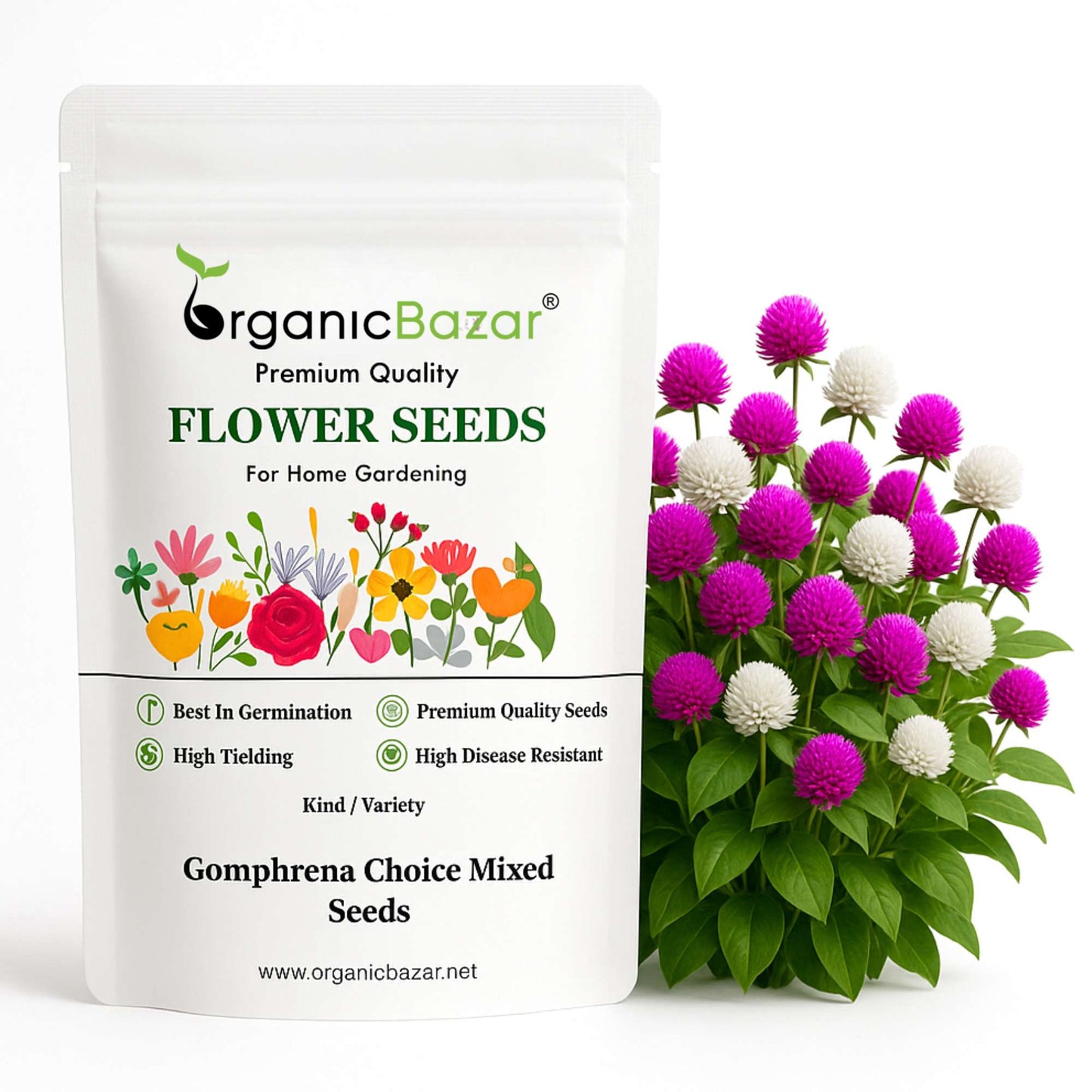 Gomphrena Choice Mixed Seeds (150 Seeds) Easy To Grow, High Germination, Perfect for pots, balconies, or Terrace gardens