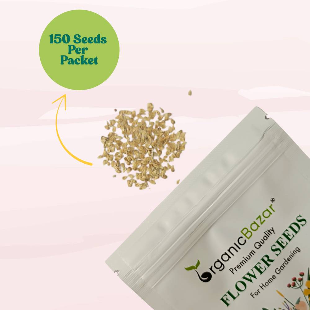 Gomphrena Choice Mixed Seeds (150 Seeds) Easy To Grow, High Germination, Perfect for pots, balconies, or Terrace gardens