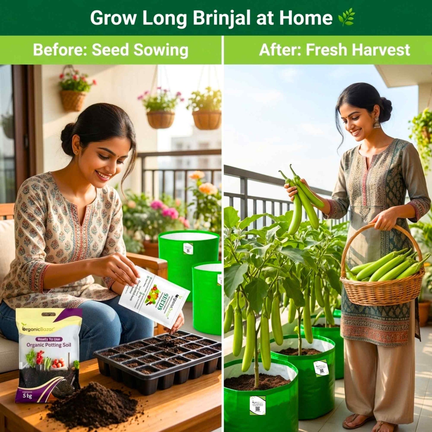 Green Brinjal Seeds (Long) - (50 Seeds) High Germination/ High Yield / Ideal for Terrace/Kitchen Gardening (Lamba hara Baingan/Eggplant/लंबा बैंगन के बीज)