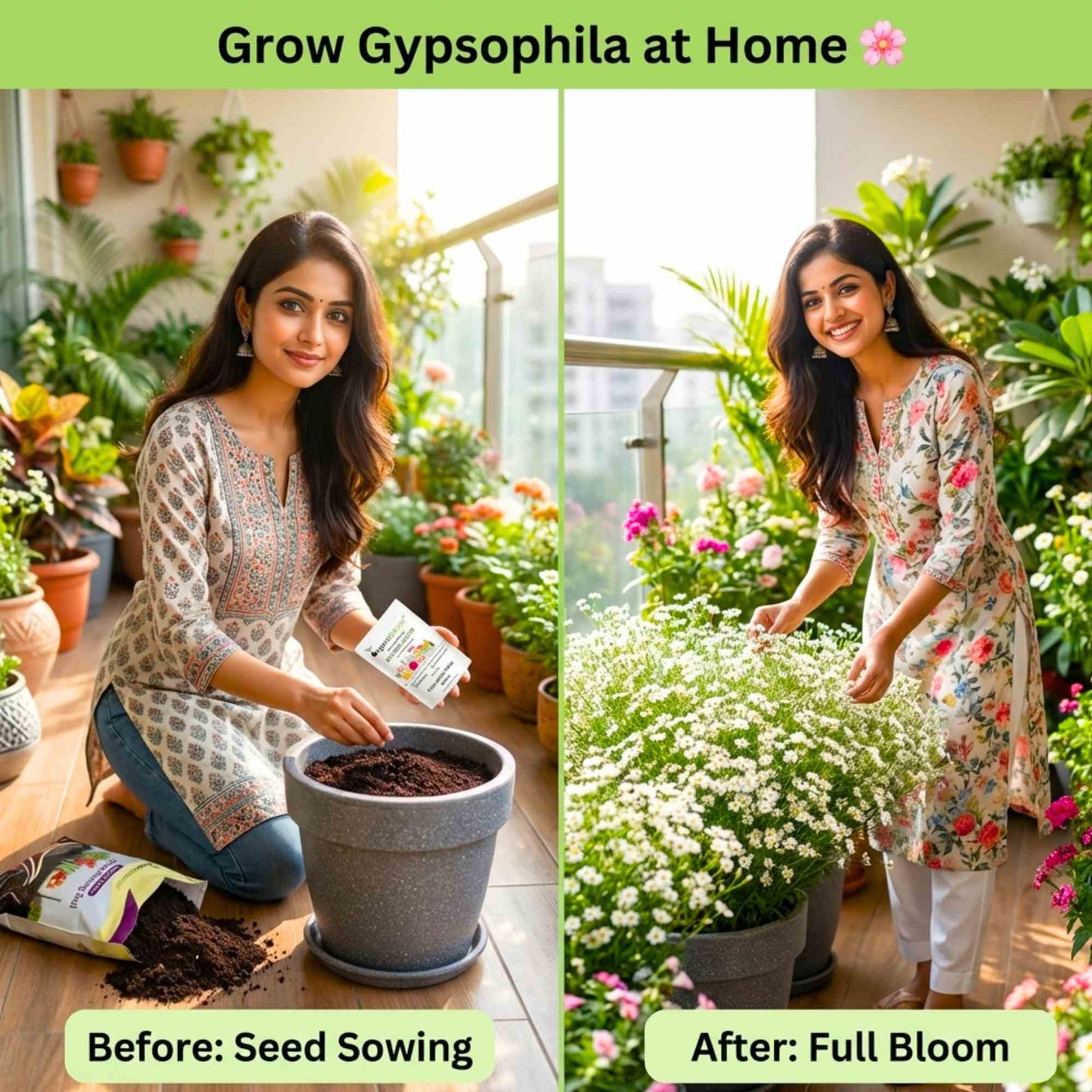 Gypsophila White Seeds - (200 Seeds) High Germination/ Easy To grow/ Perfect for pots, balconies, or Terrace gardens
