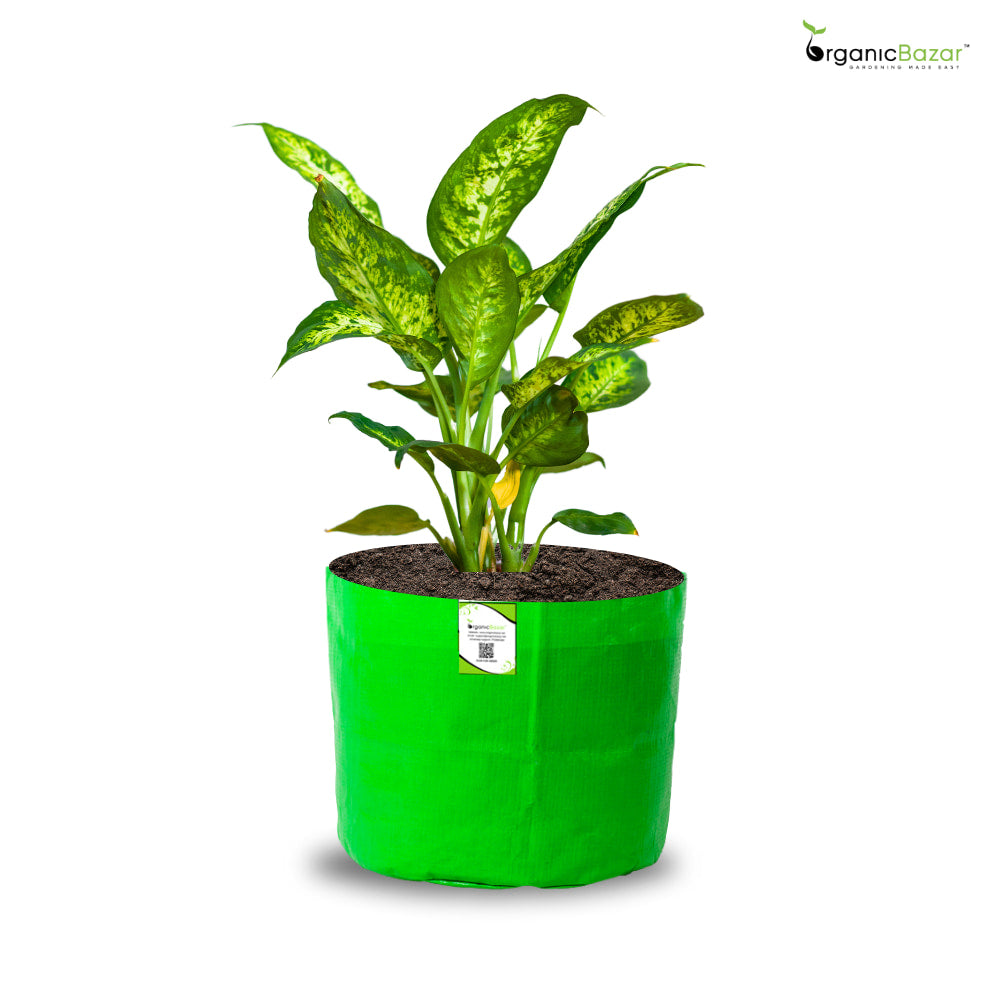 OrganicBazar 5x5 Small Size Grow Bag for Nursery Plants, Premium HDPE 260 GSM, Green Plant Bags