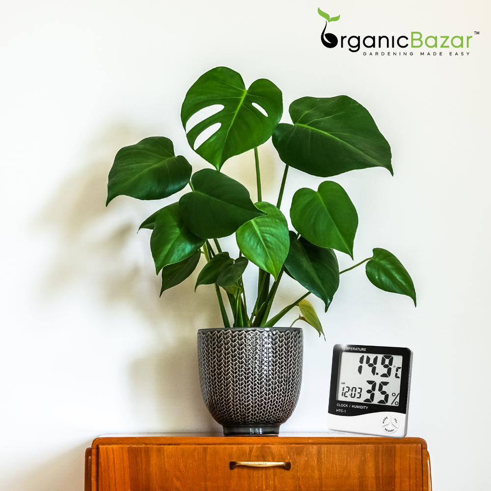 HTC-1 Digital Temperature Humidity Meter with clock Big LCD Display