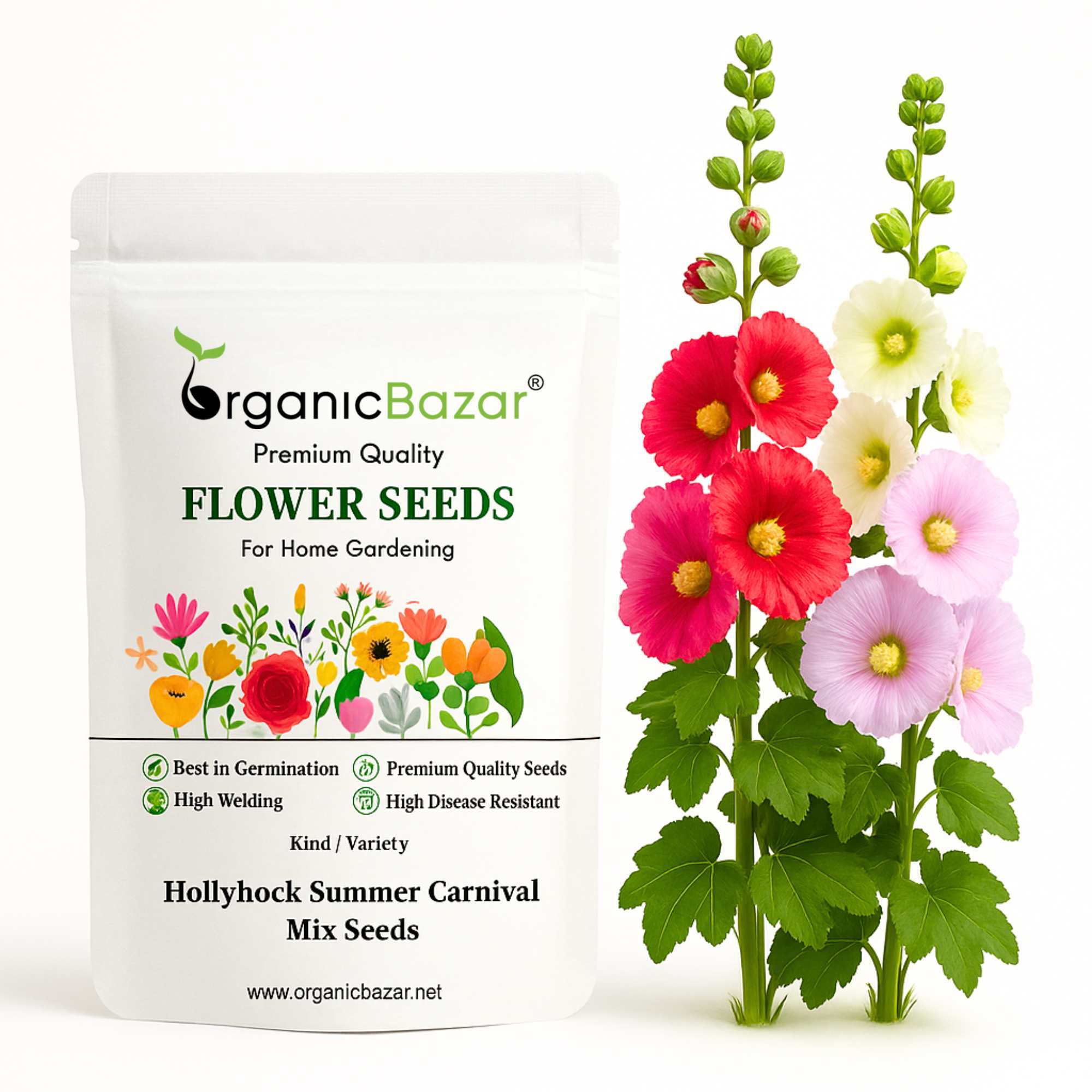 hollyhock seed to flower Buy Best Quality Hollyhock Summer Carnival Mix Flower Seeds – Organicbazar