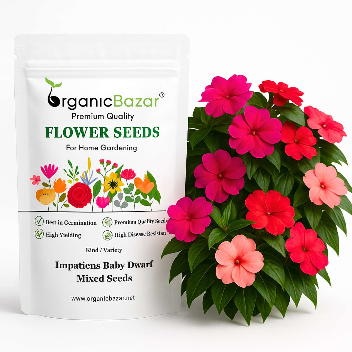 Impatiens Baby Dwarf Mixed Seeds (25 Seeds) Easy To Grow, High Germination, Perfect for pots, balconies, or Terrace gardens